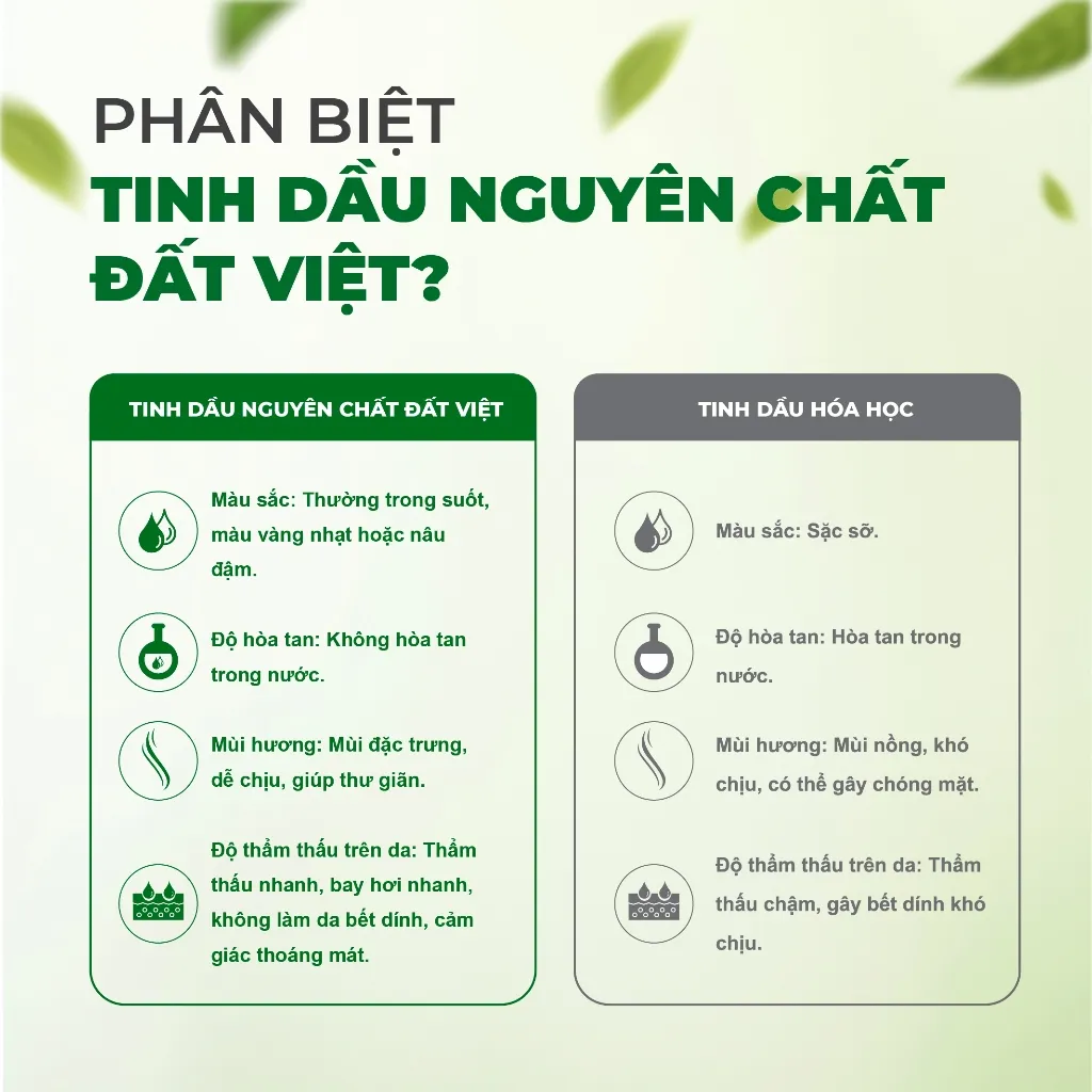 Ảnh Tinh Dầu Thiên Nhiên Nguyên Chất Đất Việt 10ml, Tinh dầu Sả Chanh, Bạc Hà, Bưởi, Tràm, Quế 3