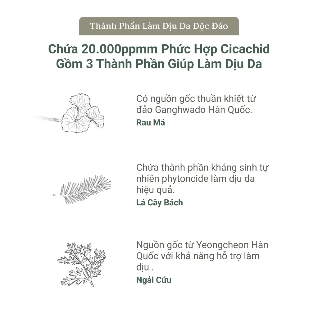 Ảnh Toner Pad Needly Cicachid Chilling Cấp Ẩm Làm Dịu Phục Hồi 200G 70 Miếng 3