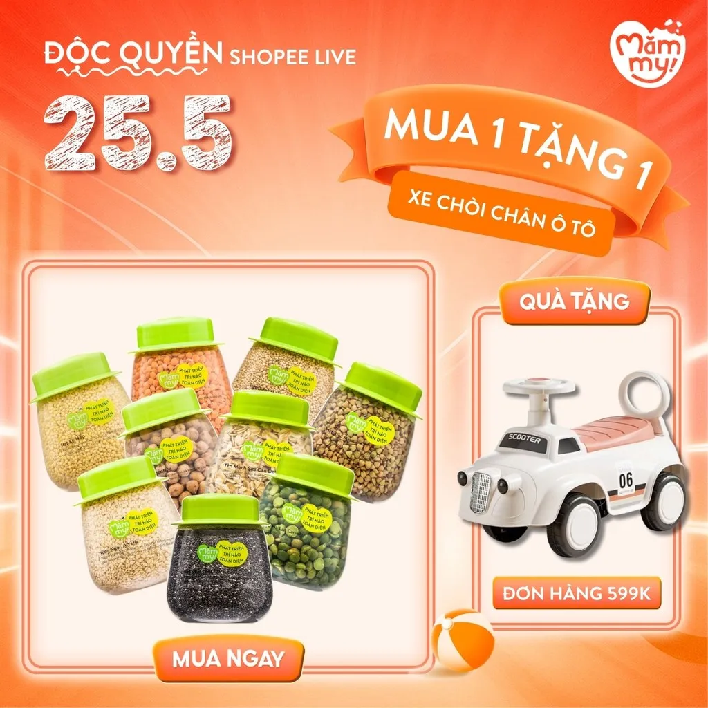 Tổng Hợp Hạt Ăn Dặm Hữu Cơ Mămmy: Dinh Dưỡng Vàng Cho Bé Yêu Giai Đoạn Ăn Dặm