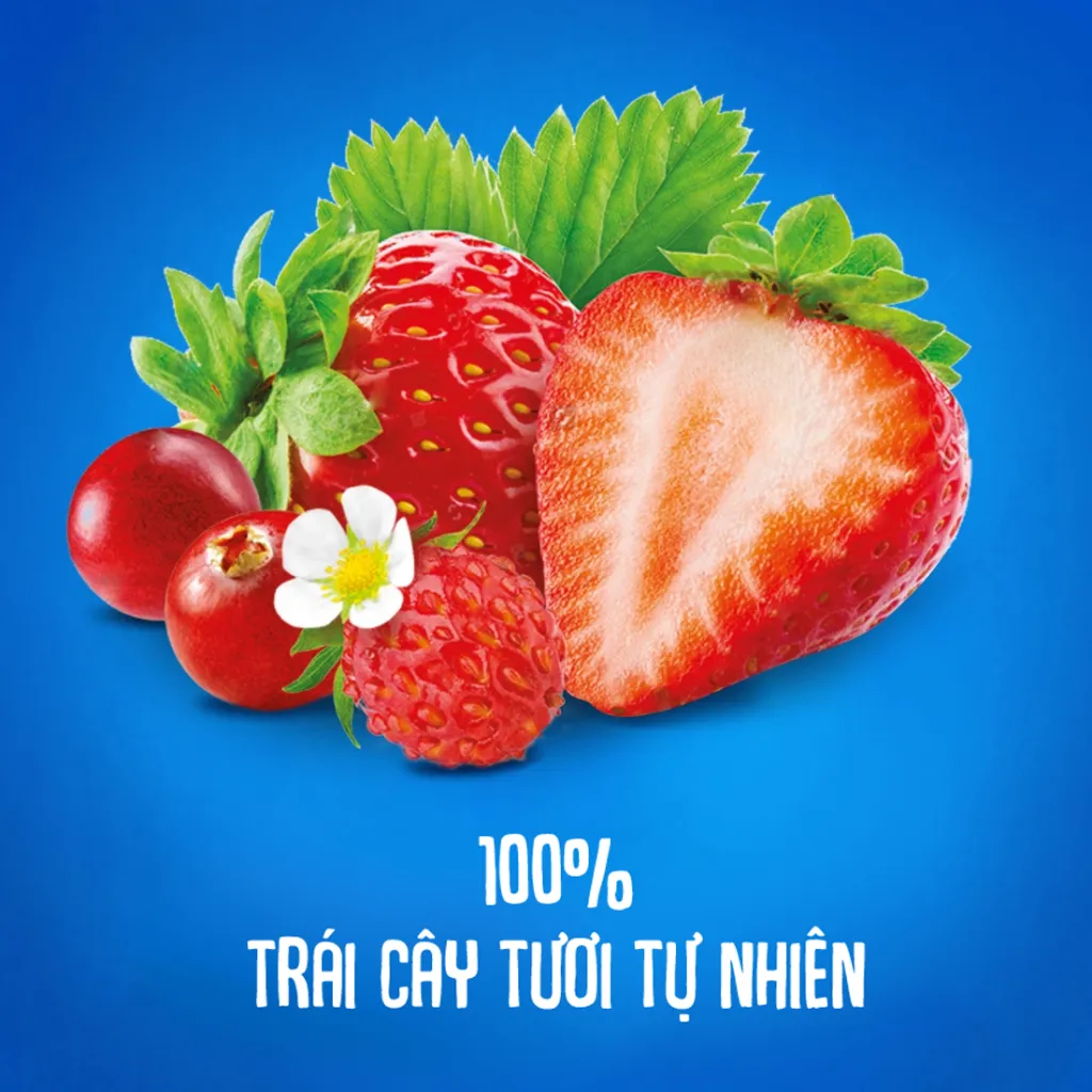 Ảnh Trái Cây Nghiền bổ sung Vitamin, hỗ trợ tiêu hóa vị Nam việt quất, Dâu tây,Dâu rừng và Táo Agusha 80g/túi 4