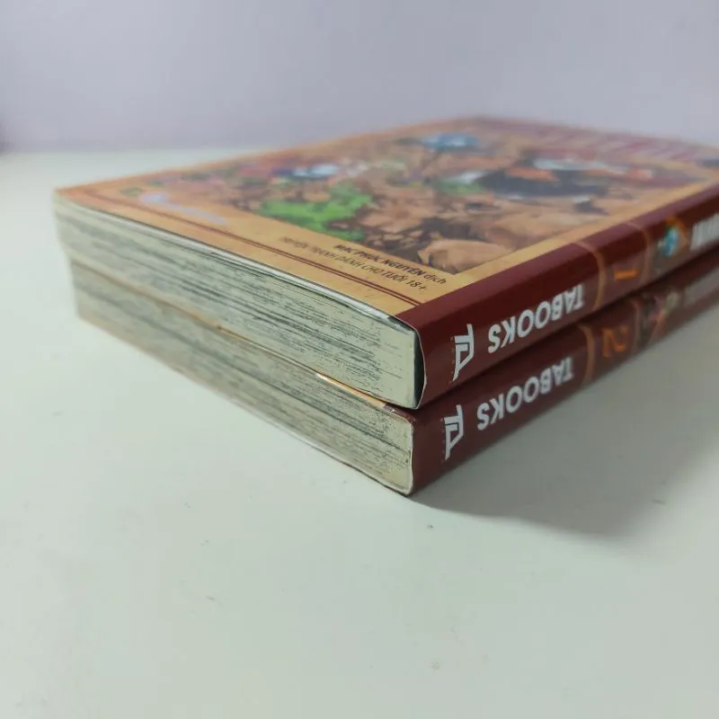 Ảnh Truyện - Fairy Tail Tập 1, 2 1