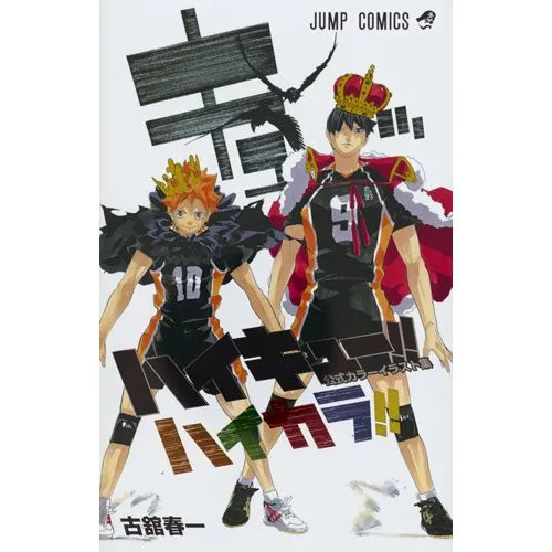 Ảnh Truyện tranh Haikyu! Chàng khổng lồ tí hon - Haicolor! Phòng triển lãm tranh màu 1