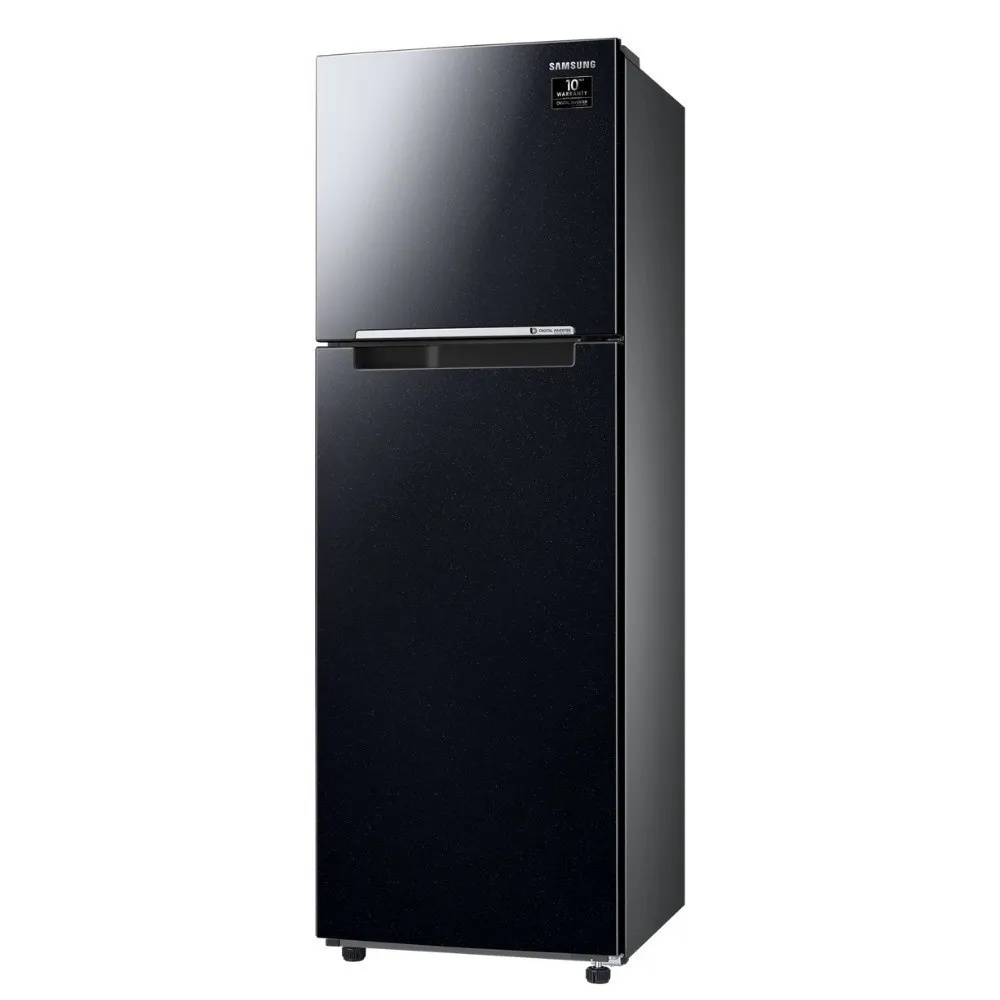 Ảnh Tủ Lạnh Samsung Ngăn Đông Trên với Digital Inverter 264L màu Đen RT25M4032BU/SV 3