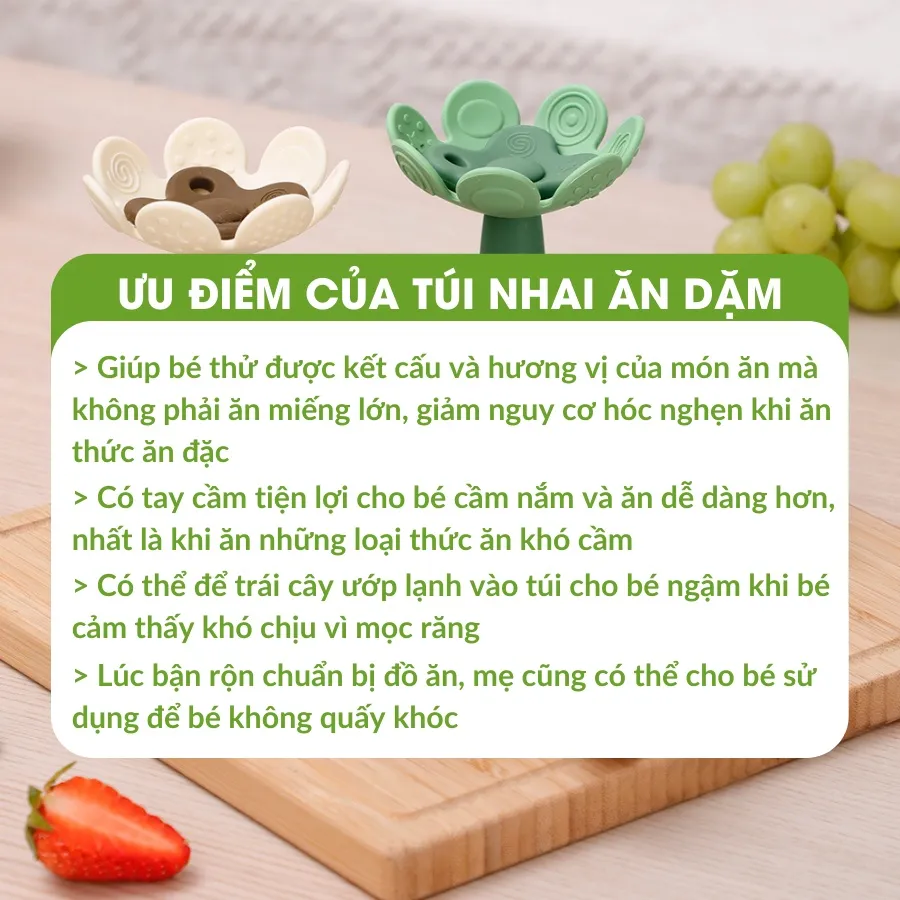 Ảnh Túi Nhai Ăn Dặm Chống Hóc Cao Cấp Cho Bé Silicone Haakaa, New Zealand. Núm Size L 2