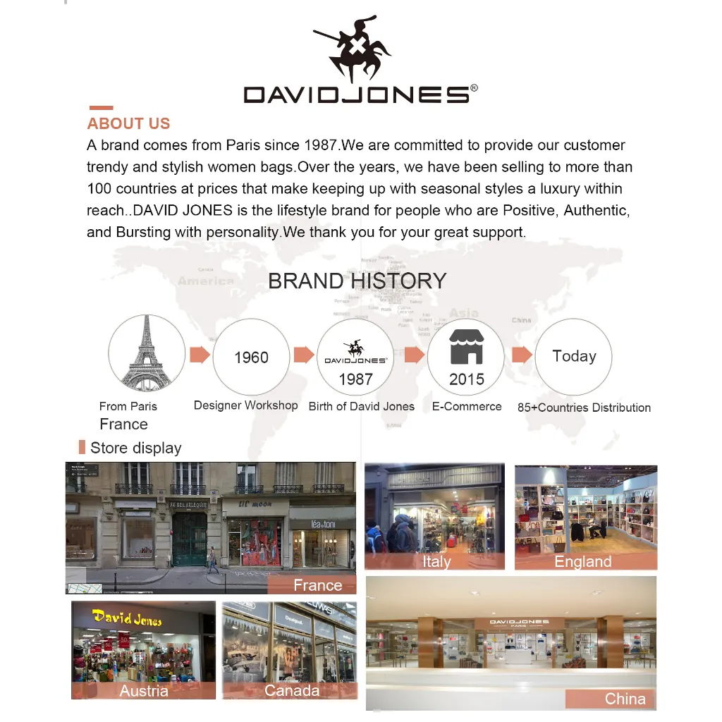 Ảnh Túi xách DAVID JONES da pu đeo chéo paris cho nữ 1