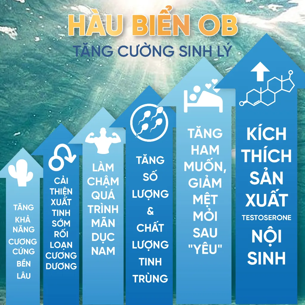 Ảnh Viên Uống Bổ Thận Hàu Biển Tăng Sinh Lý Nam Hỗ Trợ Sức Khỏe Nam Giới Oyster (Hộp 30v) 4
