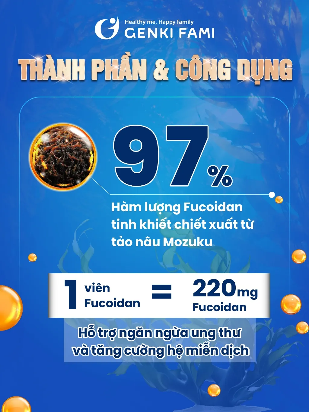 Ảnh Viên Uống Tảo Nâu Fucoidan Okinawa Genki Fami Nhật Bản, Hỗ Trợ Phòng Ngừa Ung Bướu, Tăng Cường Đề Kháng, Miễn Dịch 3