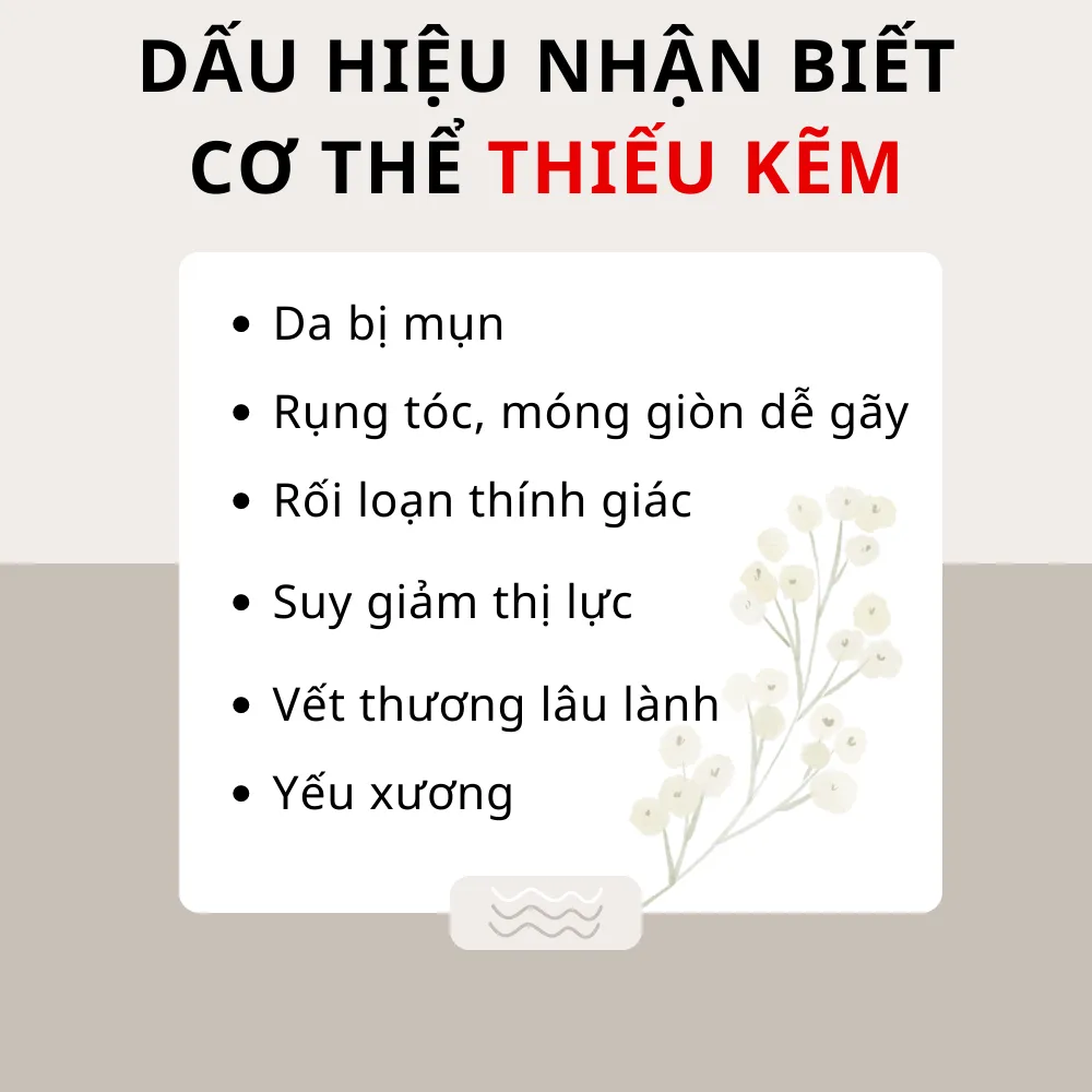 Ảnh Viên uống VTM bổ sung Kẽm ZinC hỗ trợ tăng cường sức đề kháng 3