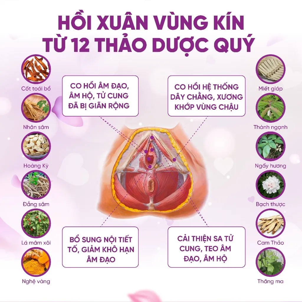 Ảnh Viên uống Zlove tăng cường nội tiết tố nữ, se khít vùng kín, giảm bốc hỏa, mất ngủ ( hộp 50 viên ) 2