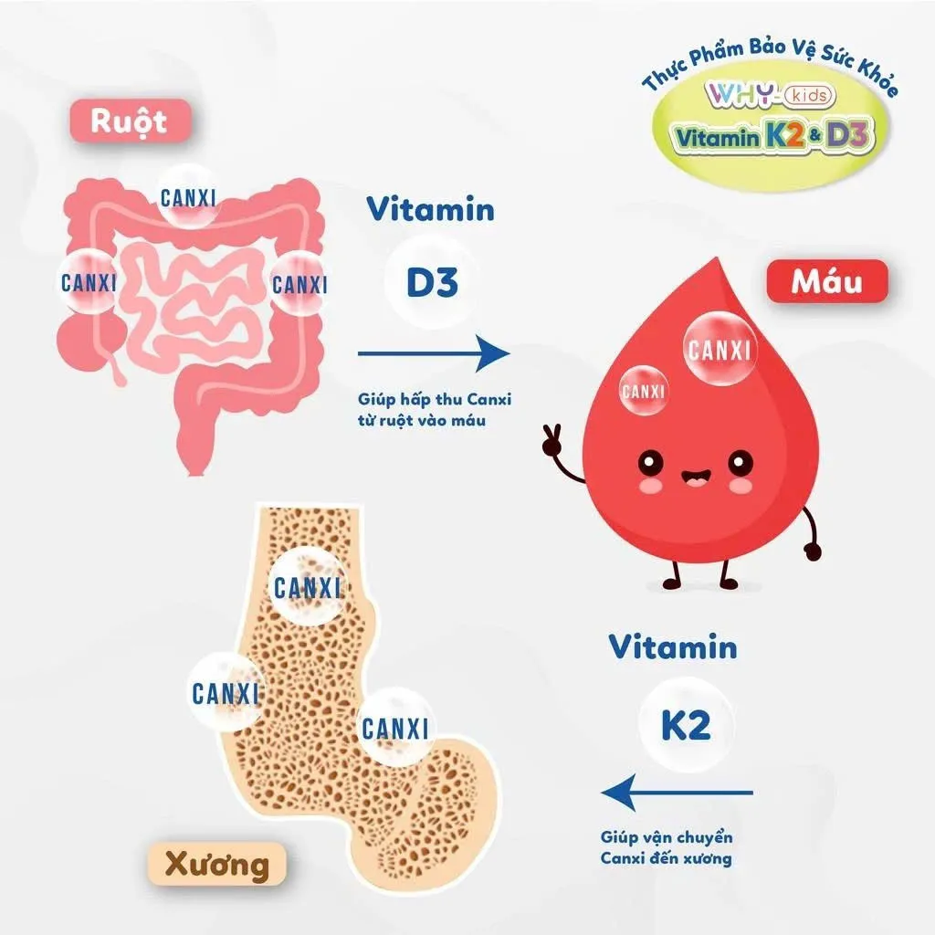 Ảnh Vitamin Whykids D3K2 Dạng Xịt Giúp Bé Hấp Thụ Canxi Hỗ Trợ Phát Triển Chiều Cao - Chai 15ml 4