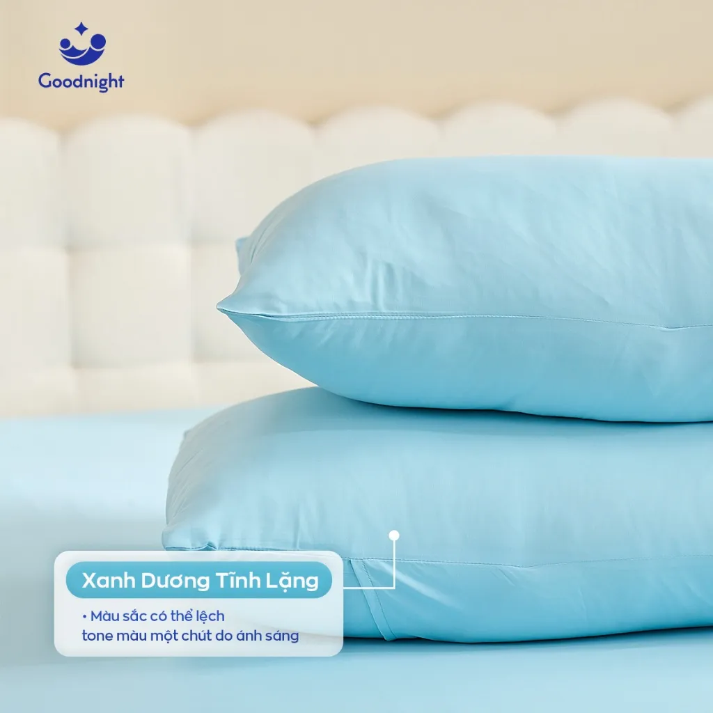 Ảnh Vỏ Gối Goodnight Airsilk Tencel Lụa Cao Cấp 5 màu pastel - Goodnight Bedding (1 chiếc) 4