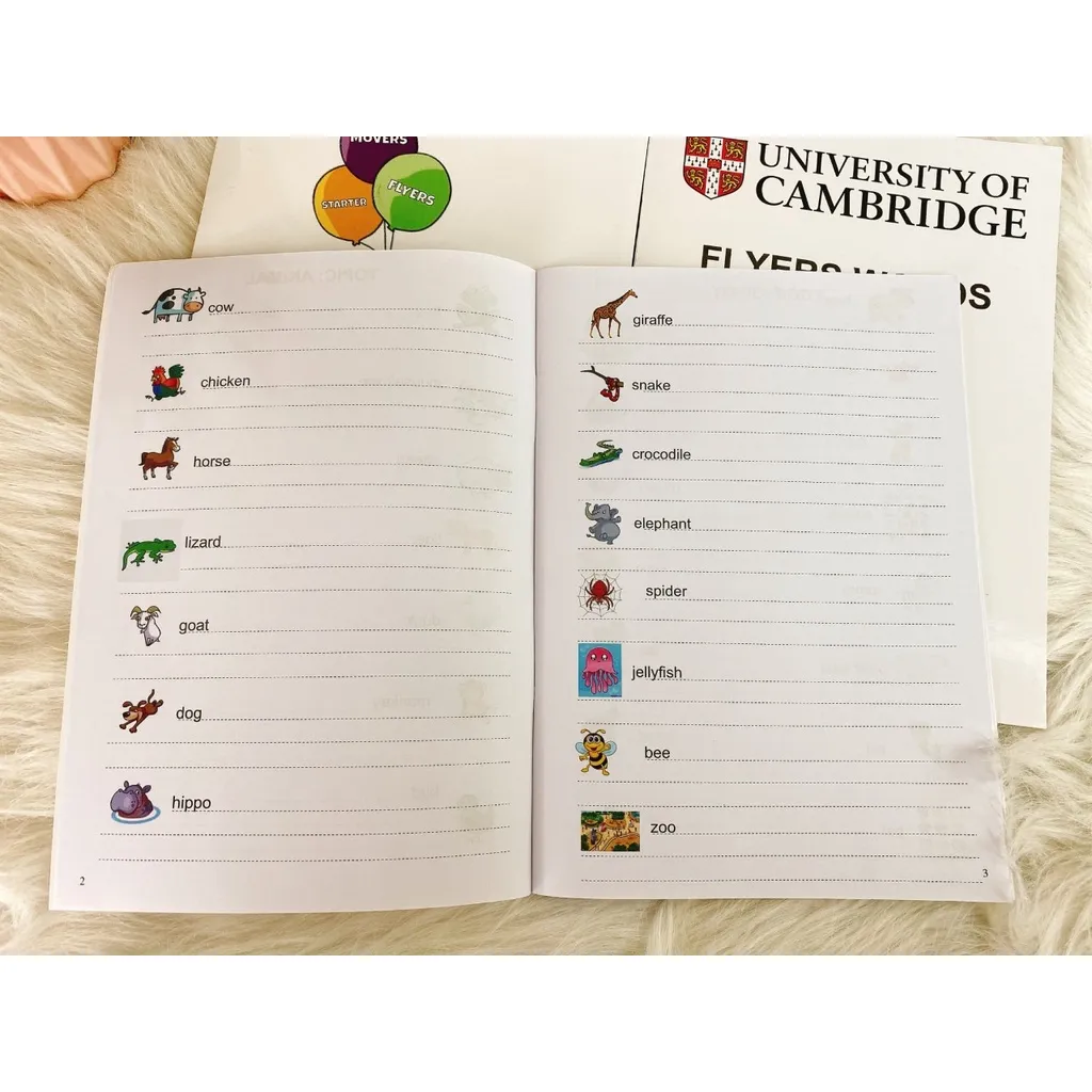 Ảnh Vở luyện viết tiếng anh theo cambridge ( starter,mover,flyer) 1