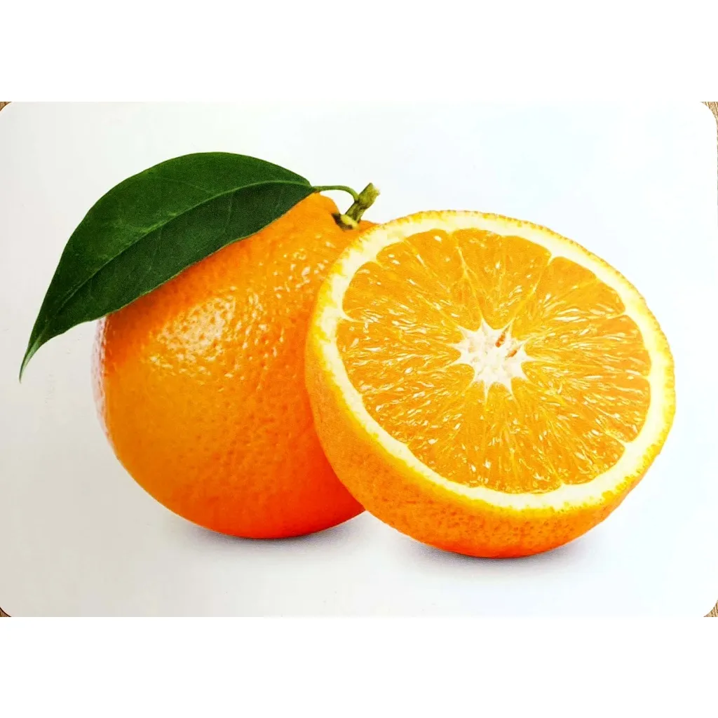 Ảnh | XẢ KHO SỐC | Bộ thẻ Flashcard kt TO A5  -17 X 21 cm - Song ngữ Việt Anh (phương pháp Glenn Doman) (Việt Hà) 3