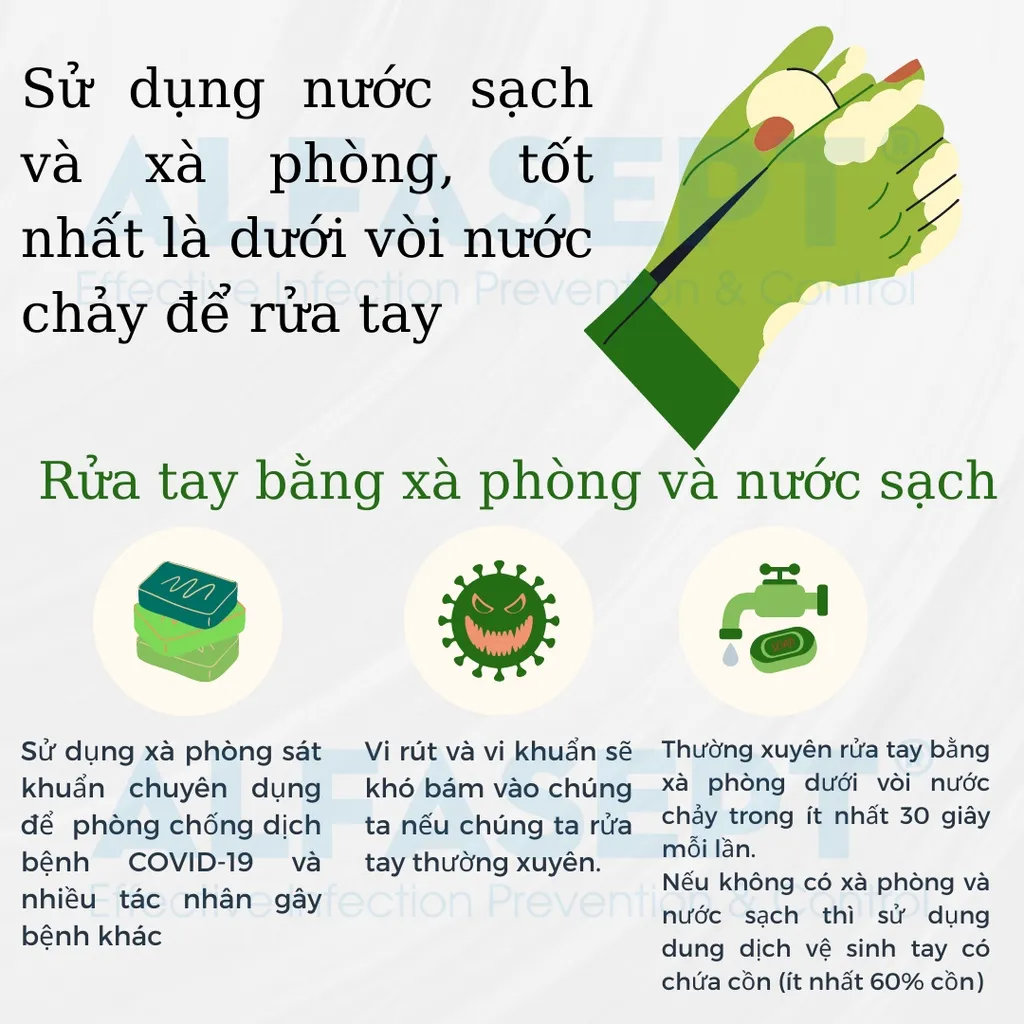 Ảnh Xà Phòng Rửa Tay ALFASEPT Handwash Chiết Xuất Lá Trà Xanh Thân Thiện Với Da, Giúp Sát Khuẩn Nhanh Chóng, Hiệu Quả 3