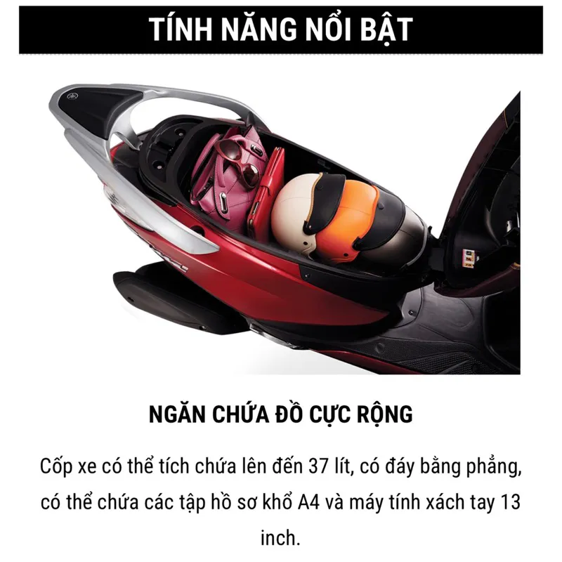 Ảnh Xe Máy Yamaha Latte các phiên bản 2