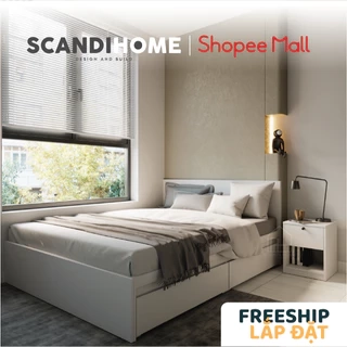 MOLTENI, Giường ngủ có ngăn kéo, 1m2 BED_001, 210x35cm, Giường ngủ gỗ Scandi Home