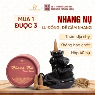 Nụ trầm hương cao cấp tặng 1 thác khói trầm hương khói ngược THIÊN MỘC HƯƠNG hộp 40 nụ 16 năm