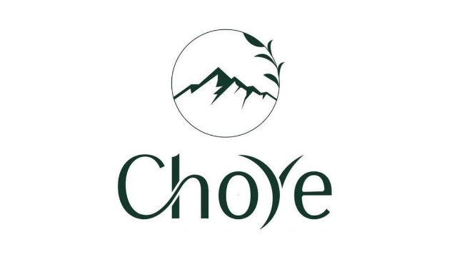 Tổng hợp giá Choye