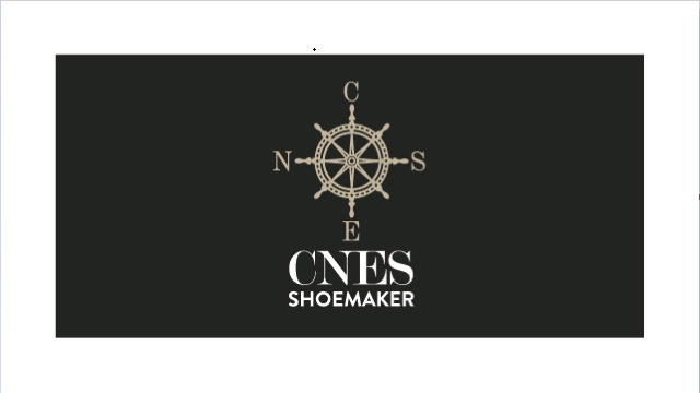 Tổng hợp giá CNES Accessories
