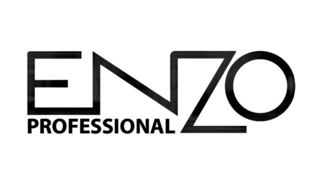 Enzo logo