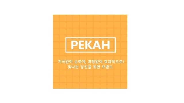 Pekah VN logo