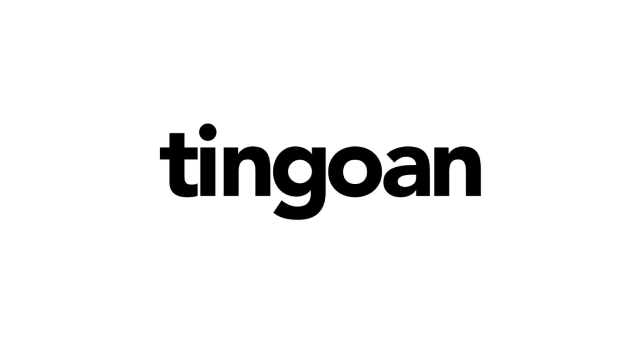 Tingoan Store logo