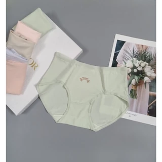 Quần lót nữ cotton Vicci cao cấp kháng khuẩn khử mùi thông hơi thoáng khí đường viền mỏng QV.31
