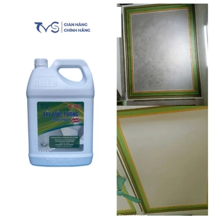 Tẩy mốc trần tường TVS- 5lit mẫu mới, tẩy mốc roang cao su, nẹp gỗ, vải khử trùng