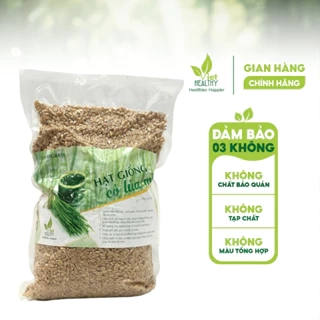 Hạt giống cỏ lúa mì Viet Healthy 1kg