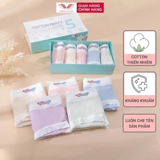 Combo 5 quần lót cotton trơn kháng khuẩn VINGO CB88 VNGO
