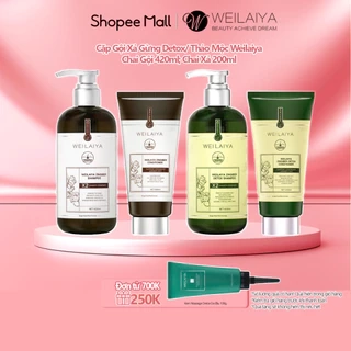 Bộ Gội Xả Gừng Detox Hỗ Trợ Mọc Tóc & Ngăn Lão Hóa Da Đầu (Gội 420ml; Xả 200ml)