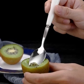 Thìa ăn trái cây inox cán sứ có hộp đựng Yeahcook